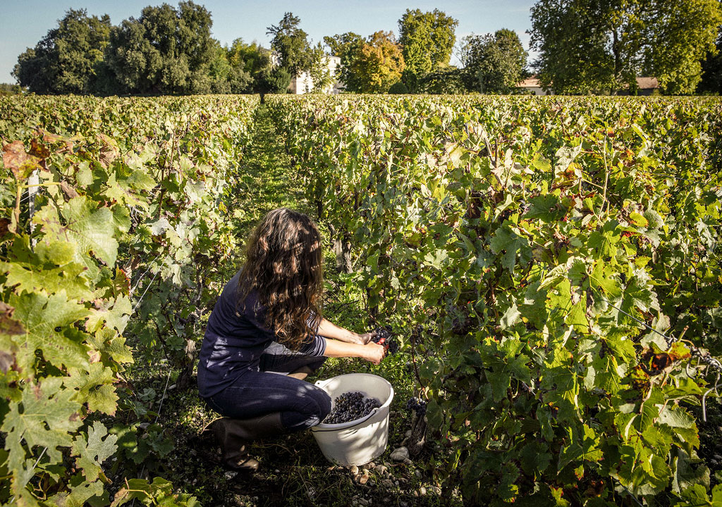 Chateau_Belgrave_III